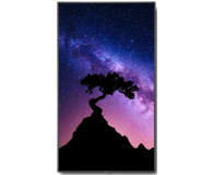Nec 75'' MultiSync V754Q 60004317 Czarny - 1385361 - zdjęcie 4